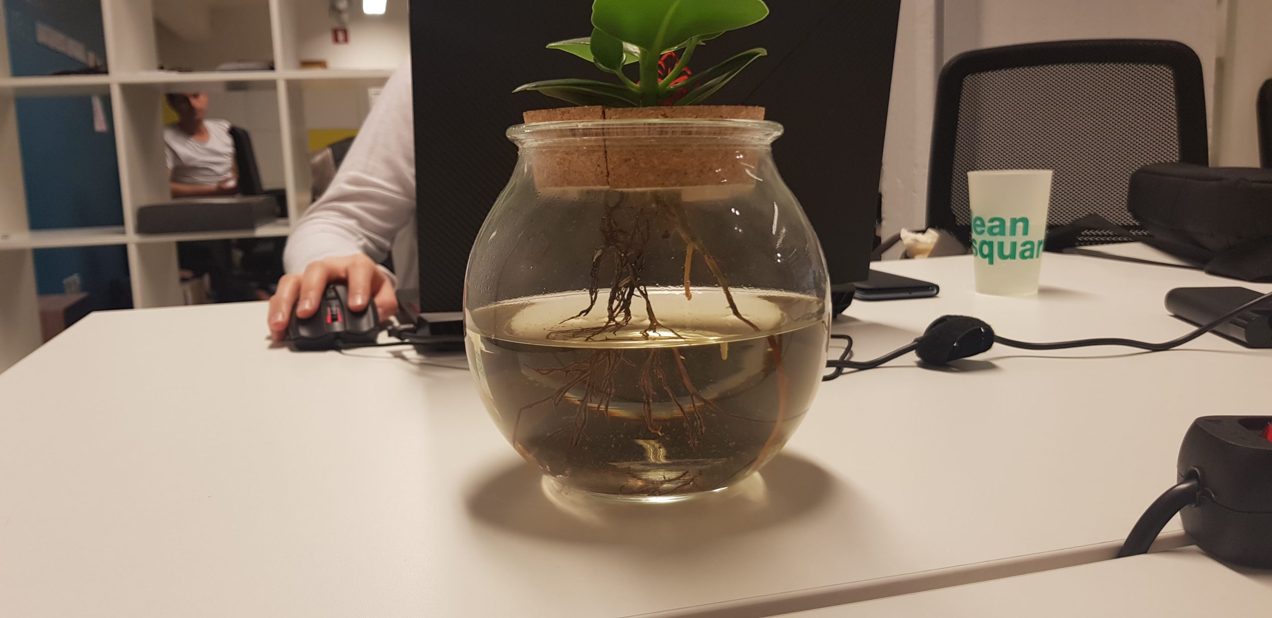 Vanessa Product Content Marketing How To